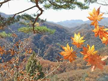 全球首列碳纤维地铁列车在青岛投运